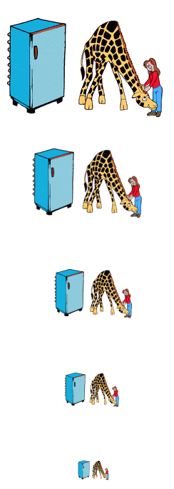 giraffe