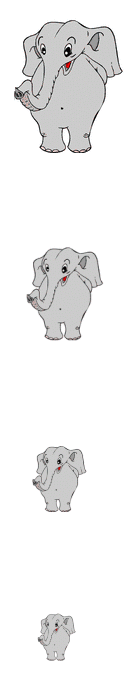 elefant